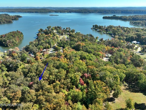 Tiny photo for 0 Lake Forest Drive, Spring City, TN 37381 (MLS # 1360403)