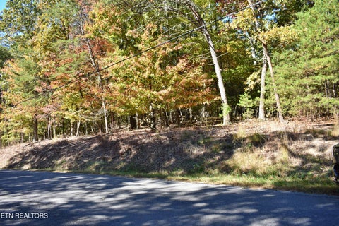 Tiny photo for 0 Lake Forest Drive, Spring City, TN 37381 (MLS # 1360403)