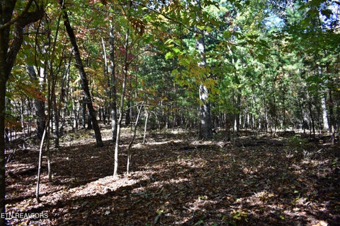 Tiny photo for 0 Lake Forest Drive, Spring City, TN 37381 (MLS # 1360403)