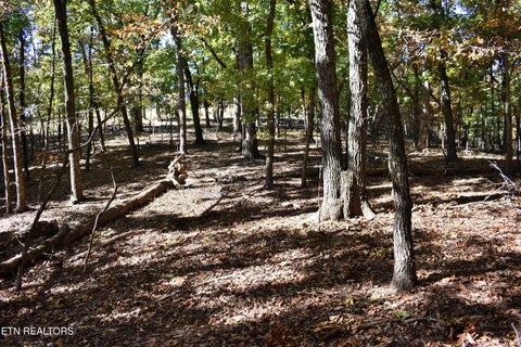 Tiny photo for 0 Lake Forest Drive, Spring City, TN 37381 (MLS # 1360403)
