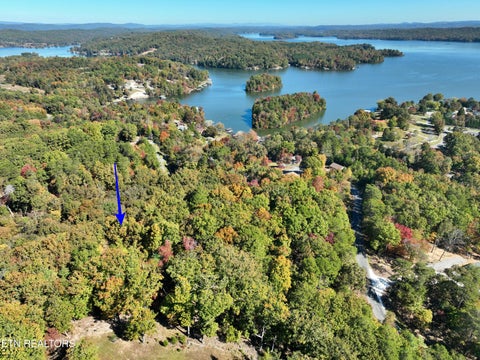 Tiny photo for 0 Lake Forest Drive, Spring City, TN 37381 (MLS # 1360403)