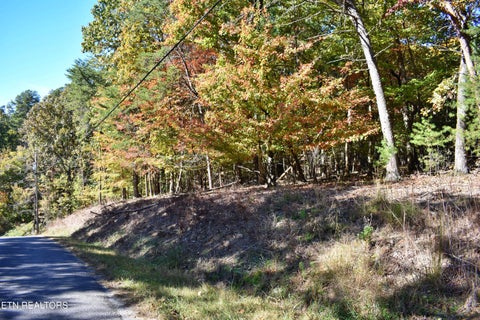 Tiny photo for 0 Lake Forest Drive, Spring City, TN 37381 (MLS # 1360403)