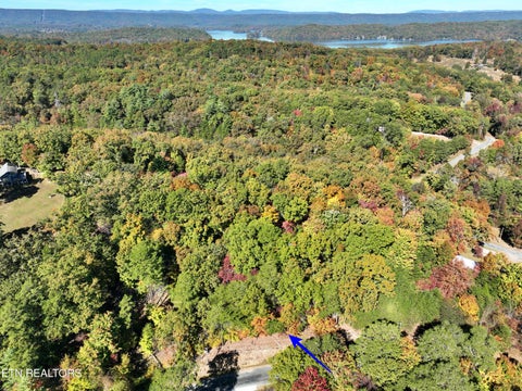 Tiny photo for 0 Lake Forest Drive, Spring City, TN 37381 (MLS # 1360403)