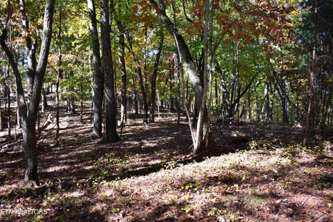 Tiny photo for 0 Lake Forest Drive, Spring City, TN 37381 (MLS # 1360403)