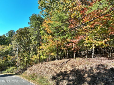 Tiny photo for 0 Lake Forest Drive, Spring City, TN 37381 (MLS # 1360403)
