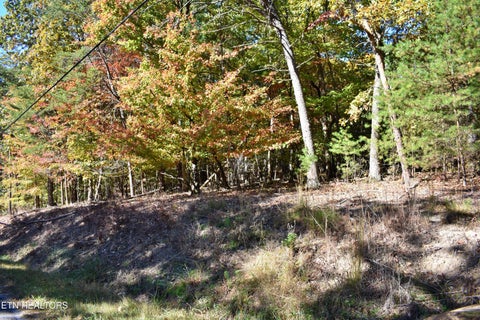 Photo of 0 Lake Forest Drive, Spring City, TN 37381 (MLS # 1360403)
