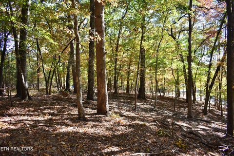 Tiny photo for 0 Lake Forest Drive, Spring City, TN 37381 (MLS # 1360403)