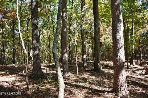 Tiny photo for 0 Lake Forest Drive, Spring City, TN 37381 (MLS # 1360403)