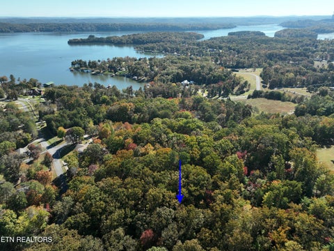Tiny photo for 0 Lake Forest Drive, Spring City, TN 37381 (MLS # 1360403)