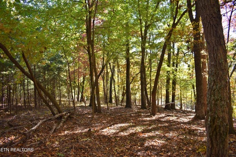 Tiny photo for 0 Lake Forest Drive, Spring City, TN 37381 (MLS # 1360403)