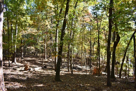 Tiny photo for 0 Lake Forest Drive, Spring City, TN 37381 (MLS # 1360403)