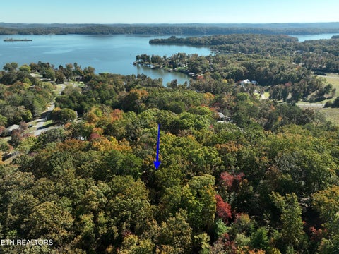 Tiny photo for 0 Lake Forest Drive, Spring City, TN 37381 (MLS # 1360403)