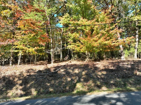 Tiny photo for 0 Lake Forest Drive, Spring City, TN 37381 (MLS # 1360403)
