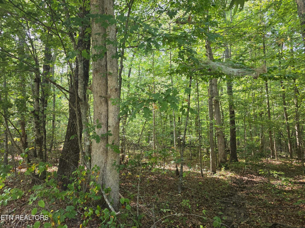 Photo of 6 Cumberland Lakes Drive, Monterey, TN 38574 (MLS # 1354809)