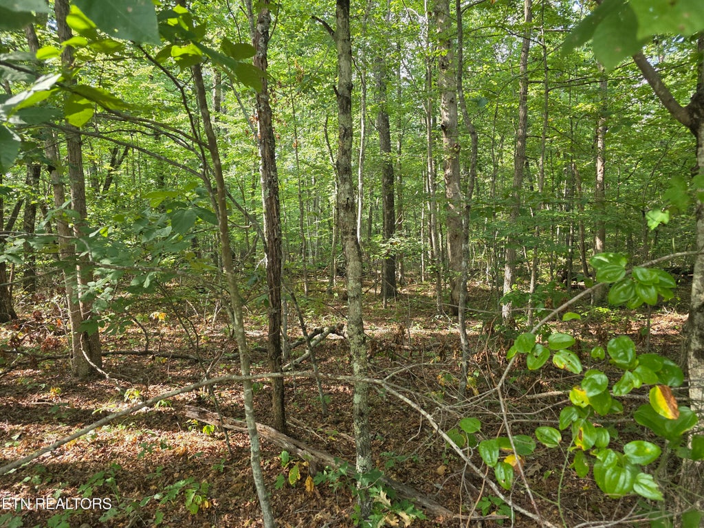 Photo of 6 Cumberland Lakes Drive, Monterey, TN 38574 (MLS # 1354809)