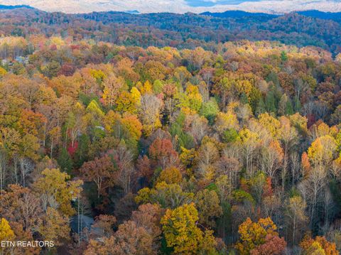 Tiny photo for 404 Pritchard Drive, Gatlinburg, TN 37738 (MLS # 1321097)