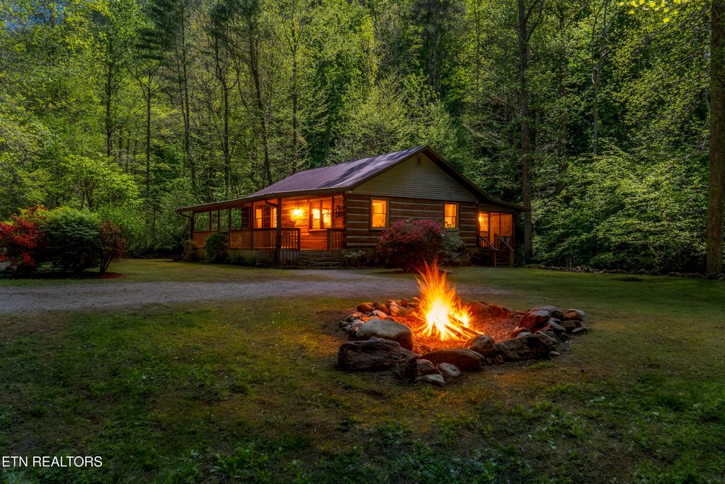 Photo of 1256 E Millers Cove Rd, Walland, TN 37886 (MLS # 1337493)