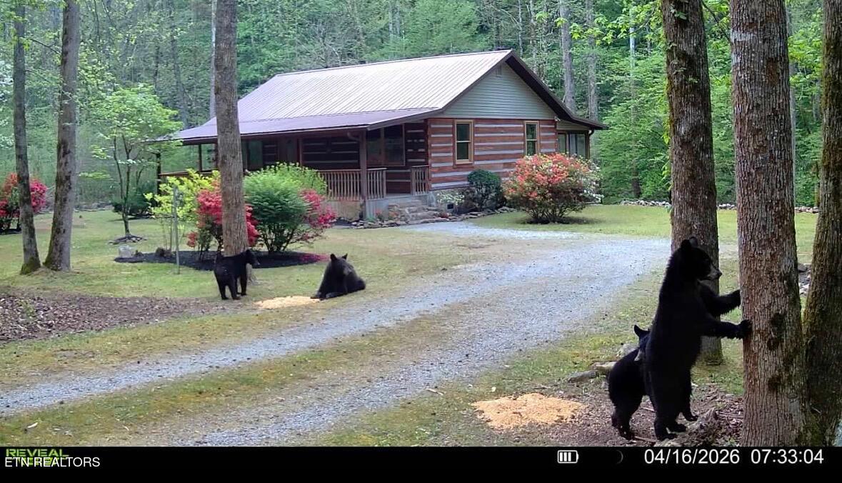 1256 E Millers Cove Rd