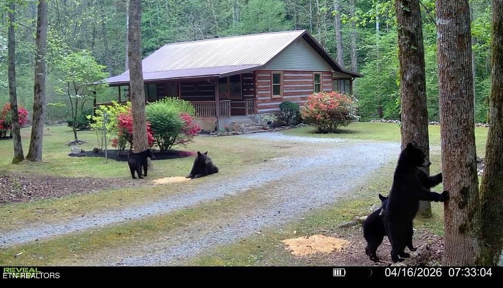 Photo of 1256 E Millers Cove Rd, Walland, TN 37886 (MLS # 1337493)