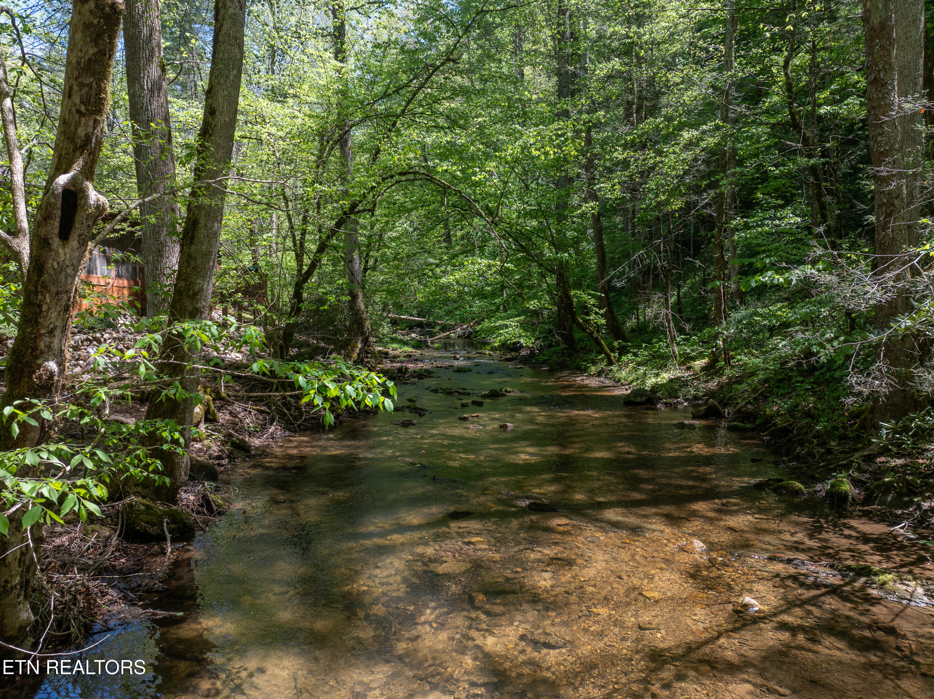 1256 E Millers Cove Rd