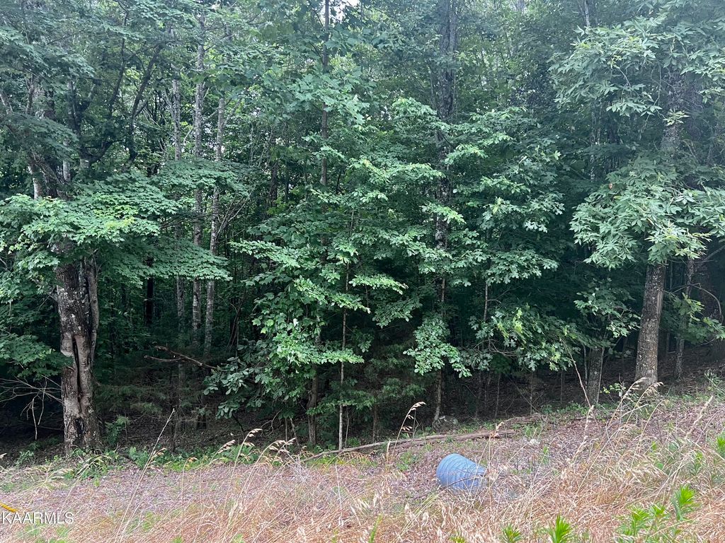 Photo of 149 Whistle Valley Rd, New Tazewell, TN 37825 (MLS # 1231338)