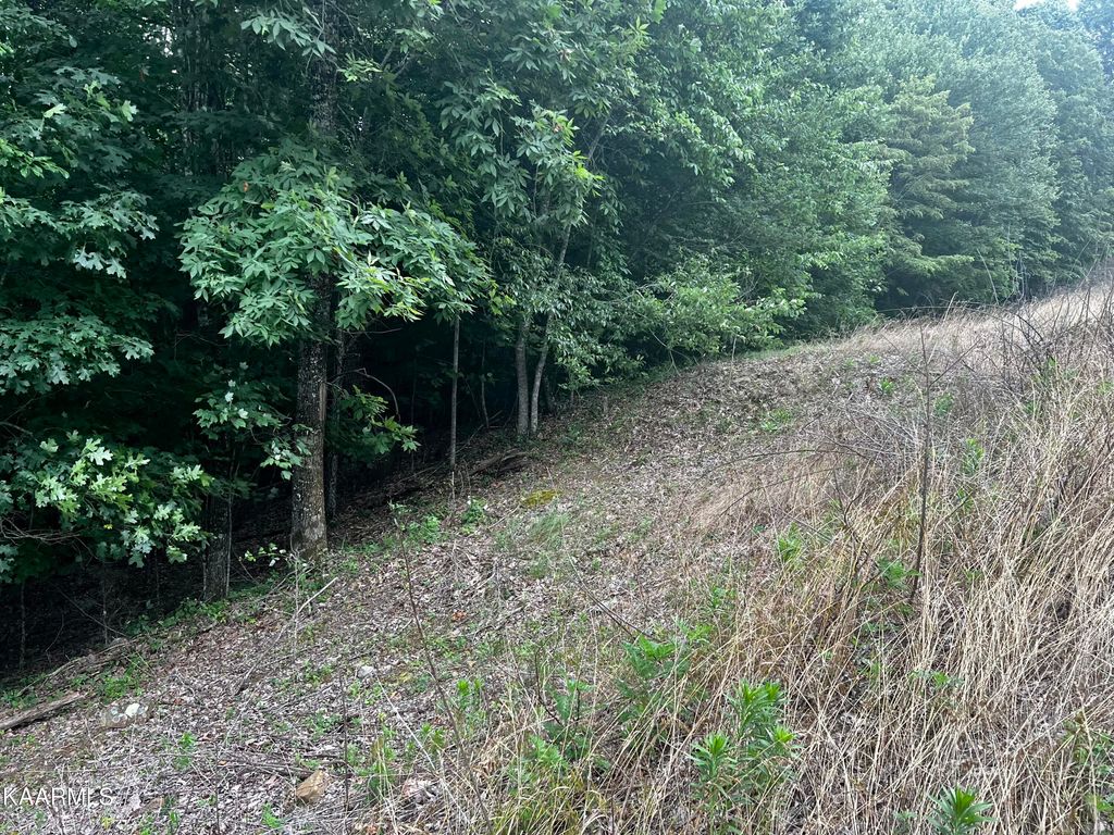 Photo of 149 Whistle Valley Rd, New Tazewell, TN 37825 (MLS # 1231338)