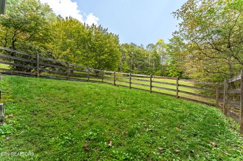 Tiny photo for 8520 Andersonville Pike, Knoxville, TN 37938 (MLS # 1317726)
