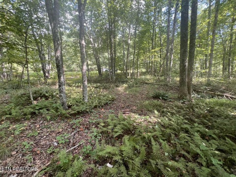 Tiny photo for 11 Glade Place, Monterey, TN 38574 (MLS # 1355593)