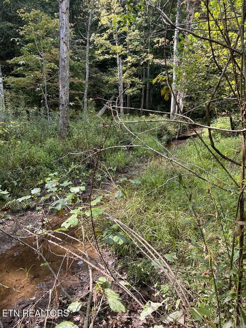 Tiny photo for 11 Glade Place, Monterey, TN 38574 (MLS # 1355593)