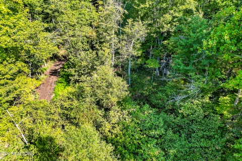 Tiny photo for 11 Glade Place, Monterey, TN 38574 (MLS # 1355593)