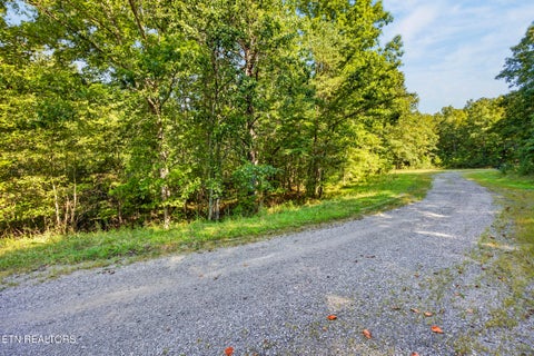 Tiny photo for 11 Glade Place, Monterey, TN 38574 (MLS # 1355593)
