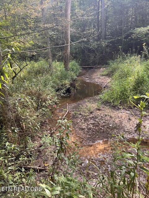 Tiny photo for 11 Glade Place, Monterey, TN 38574 (MLS # 1355593)