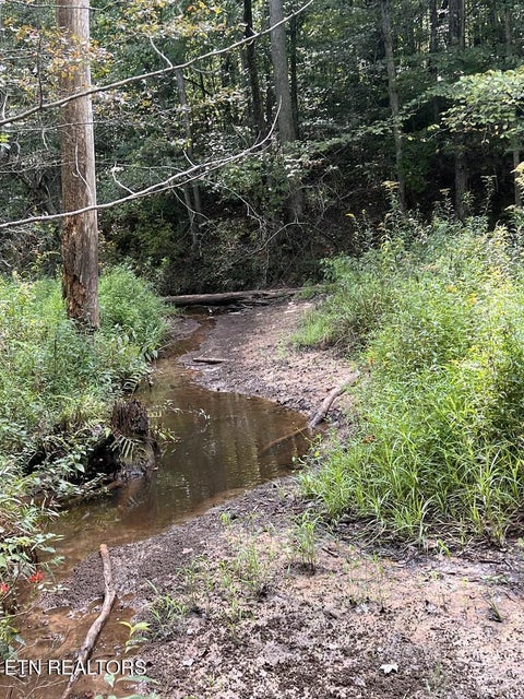 Tiny photo for 11 Glade Place, Monterey, TN 38574 (MLS # 1355593)