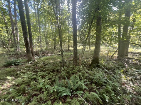 Tiny photo for 11 Glade Place, Monterey, TN 38574 (MLS # 1355593)