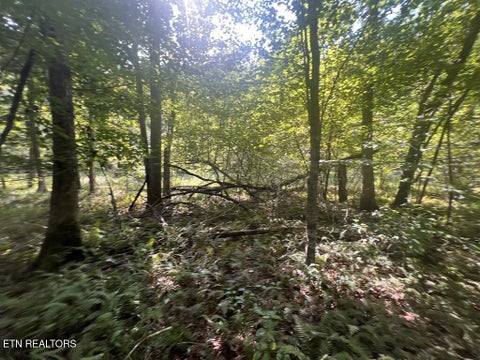 Tiny photo for 11 Glade Place, Monterey, TN 38574 (MLS # 1355593)