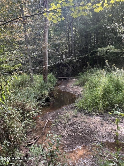 Tiny photo for 11 Glade Place, Monterey, TN 38574 (MLS # 1355593)