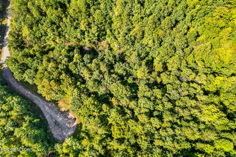 Tiny photo for 11 Glade Place, Monterey, TN 38574 (MLS # 1355593)