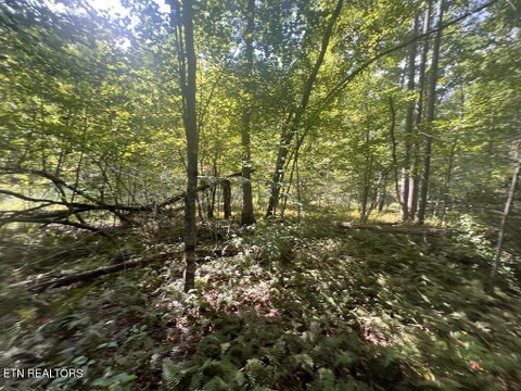 Tiny photo for 11 Glade Place, Monterey, TN 38574 (MLS # 1355593)