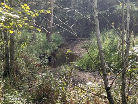 Tiny photo for 11 Glade Place, Monterey, TN 38574 (MLS # 1355593)