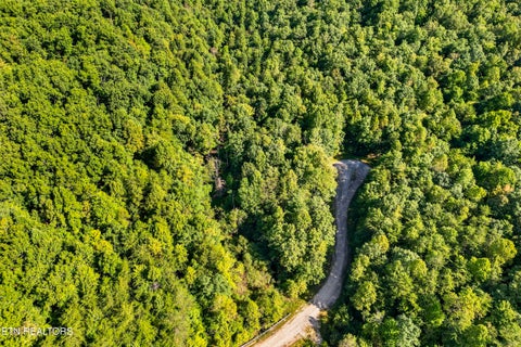 Tiny photo for 11 Glade Place, Monterey, TN 38574 (MLS # 1355593)