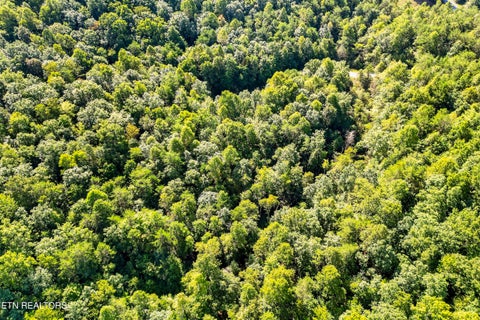 Tiny photo for 11 Glade Place, Monterey, TN 38574 (MLS # 1355593)