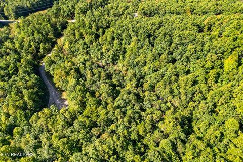 Tiny photo for 11 Glade Place, Monterey, TN 38574 (MLS # 1355593)