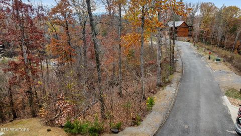 Featured picture for the property 1283763