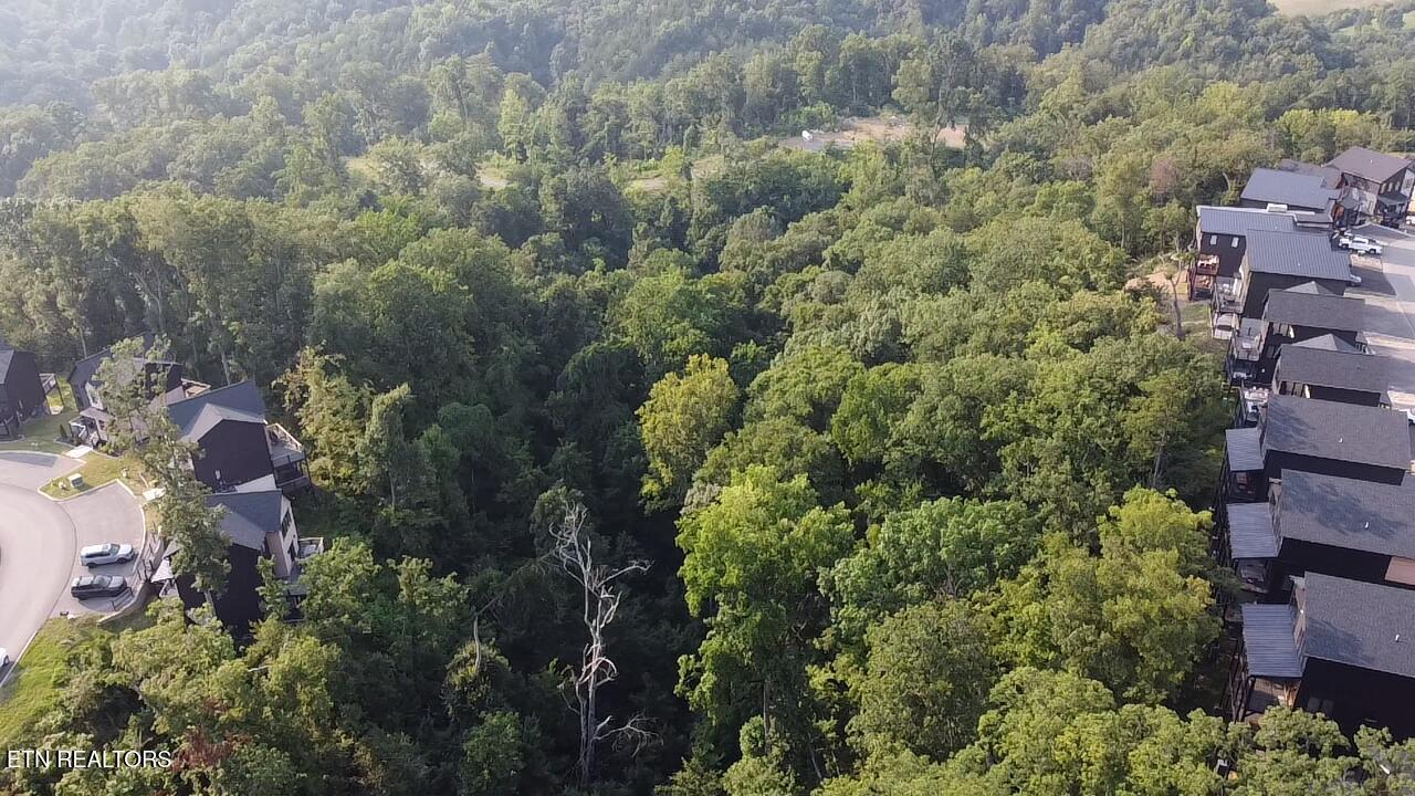 Lot 145 Reedmont Way
