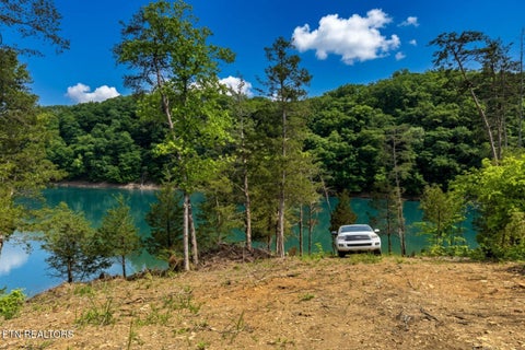 Tiny photo for Black Fox Harbor Rd, Washburn, TN 37888 (MLS # 1343947)