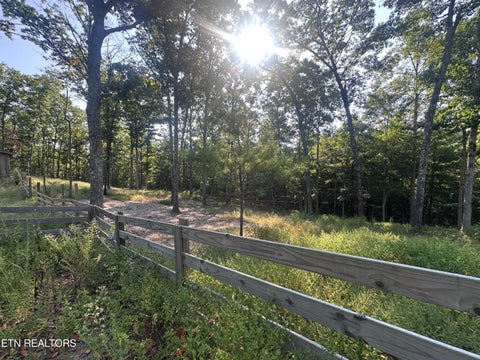 Tiny photo for 536 Teepee Lane, Jamestown, TN 38556 (MLS # 1355822)