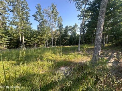 Tiny photo for 536 Teepee Lane, Jamestown, TN 38556 (MLS # 1355822)