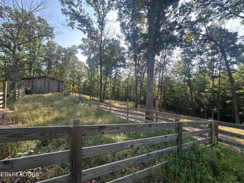 Tiny photo for 536 Teepee Lane, Jamestown, TN 38556 (MLS # 1355822)