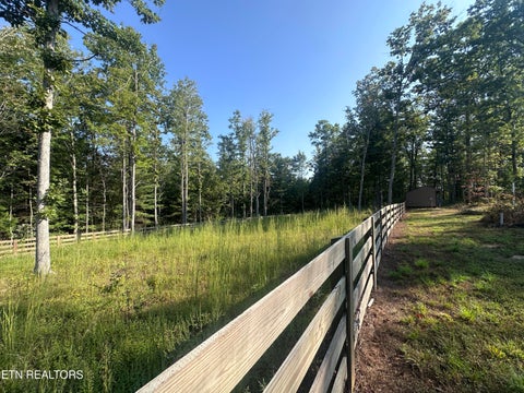 Tiny photo for 536 Teepee Lane, Jamestown, TN 38556 (MLS # 1355822)
