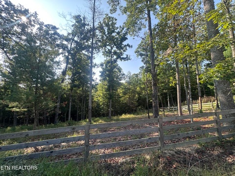 Tiny photo for 536 Teepee Lane, Jamestown, TN 38556 (MLS # 1355822)